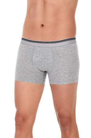 3 Adet Yıldız Erkek Likralı Formen Boxer Short Gri 367