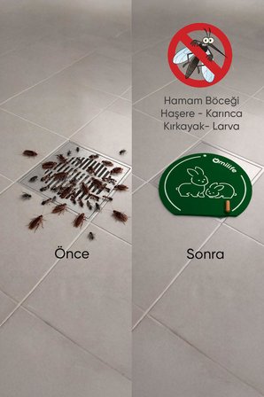 Yeşil Silikon Gider Kapağı Koku Önleyici Lavabo Tıpası Banyo Mutfak Balkon Gider Matı