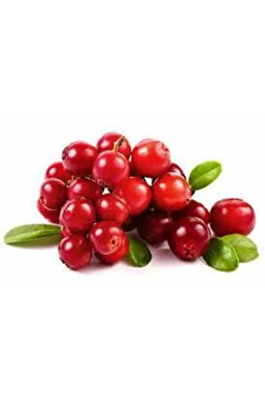 10 Adet Tohum Yaban Mersini Tohumu Cranberry Turna Yemişi Tohumu