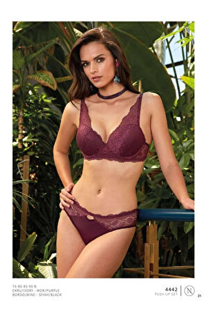 Kadın 4442 Destekli Sütyen Takım