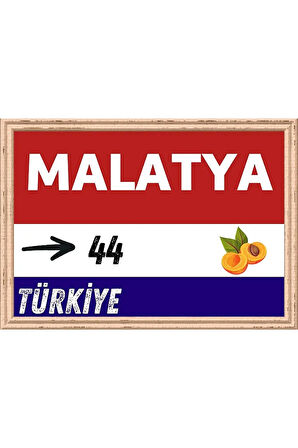 Malatya Tablo - Retro Tablo