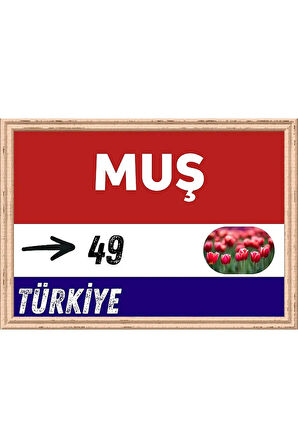 Muş Tablo - Retro Tablo