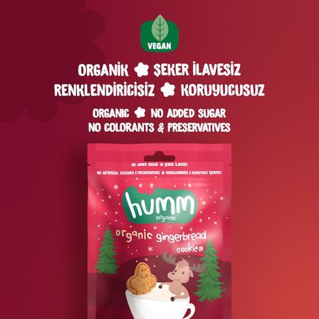 Organik Vegan Zencefilli ve Tarçınlı Kurabiye - 3 adet