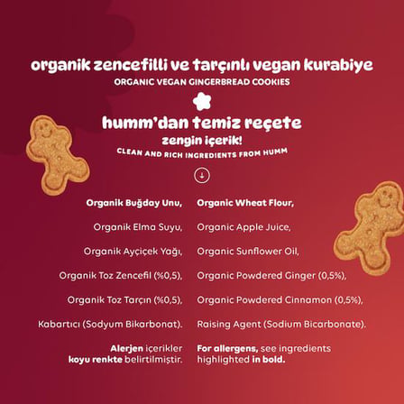 Organik Vegan Zencefilli ve Tarçınlı Kurabiye - 3 adet