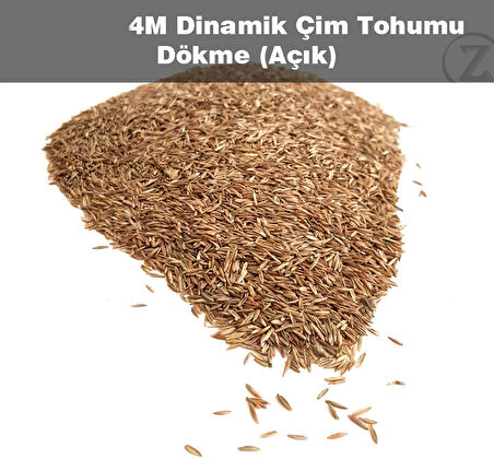 Çim Tohumu 3 Kg. Dinamik 6m Dayanıklı Yoğun Basılan Alanlar Için Ideal Çim Tohumu