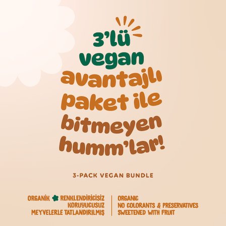 Organik Vegan Zencefilli Portakallı Çilekli Kurabiyeler Atıştırmalık Paketi - 3 Adet (3 Çeşit)