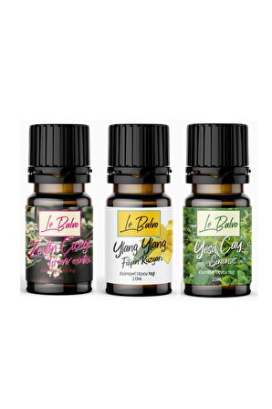 Zeytin,ylang Ylang,yeşil Çay Doğal Uçucu Saf Buhurdanlık Esansı Oda Kokusu Esans Buhur Yağı 10ml