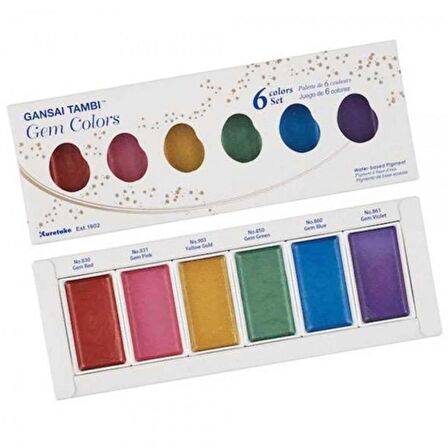 Zig Watercolour Gansai Tambi Sulu Boya 6'lı Set Gem Colors