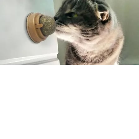 Kedi Nanesi Oyun Topu