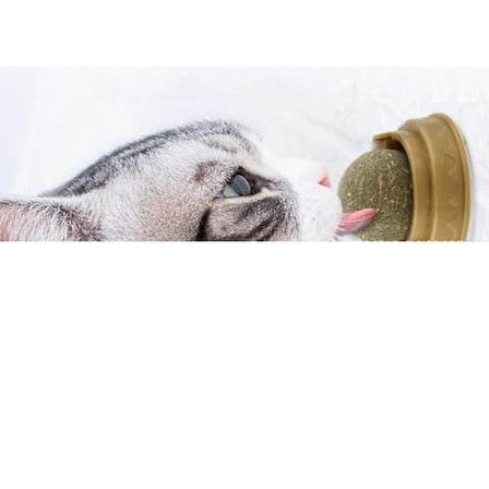 Kedi Otu Oyun Topu Cat Mint