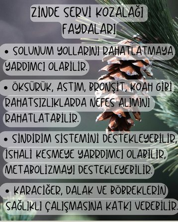 Servi̇ Kozalaği Özü Doğal Geleneksel Üreti̇M Net: 1250Gram