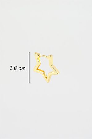 Kadın Kendi Tarzını Oluştur Yıldız Model 1 Adet Küpe