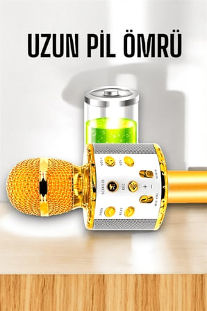 Kablosuz Karaoke Mikrofon USB ve AUX Girişli Yüksek Ses Kalitesi