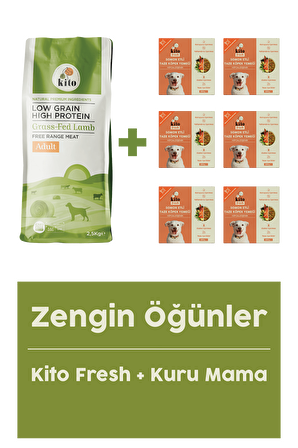 Yetişkin Köpek Maması 2,5 Kg + Somon Etli Fresh X 6