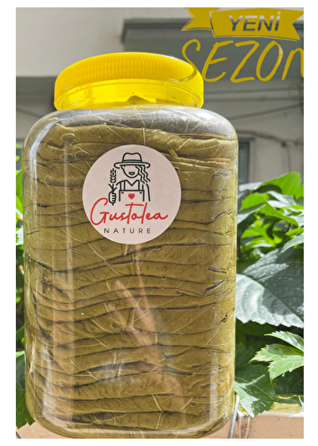 Gustolea Nature Manisa Sultaniye Ilk Hasat Salamura Uç Asma Yaprağı (İNCE,DAMARSIZ/2024 MAHSÜLÜ)5 Kg