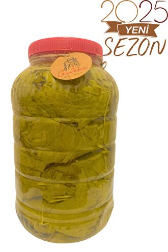 Gustolea Nature Manisa Sultaniye Ilk Hasat Salamura Uç Asma Yaprağı (İNCE,DAMARSIZ/2024 MAHSÜLÜ)5 Kg