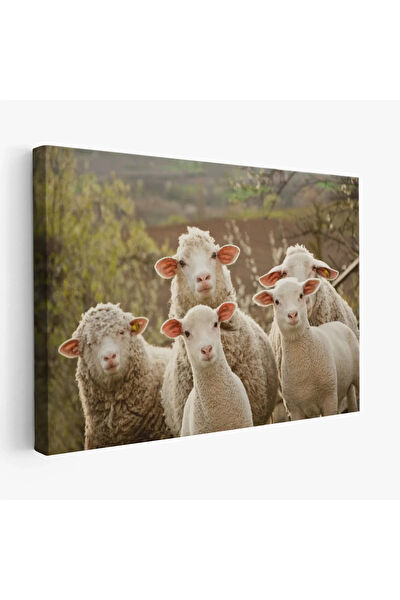 CEPAHİR Kanvas Tablo