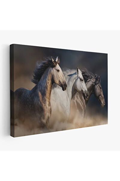 CEPAHİR Kanvas Tablo