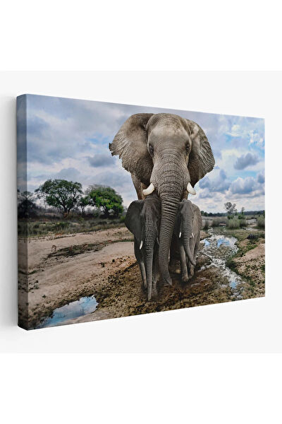 CEPAHİR Kanvas Tablo