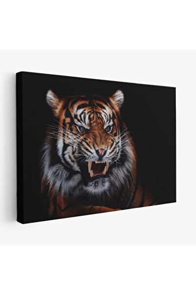 CEPAHİR Kanvas Tablo