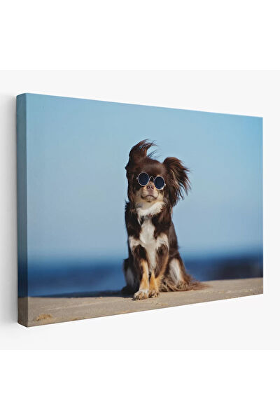 CEPAHİR Kanvas Tablo