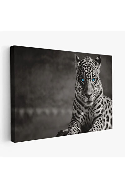 CEPAHİR Kanvas Tablo