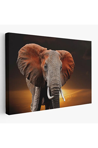 CEPAHİR Kanvas Tablo