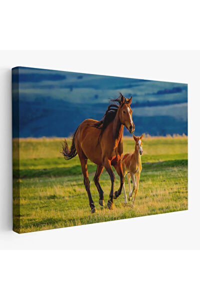 CEPAHİR Kanvas Tablo