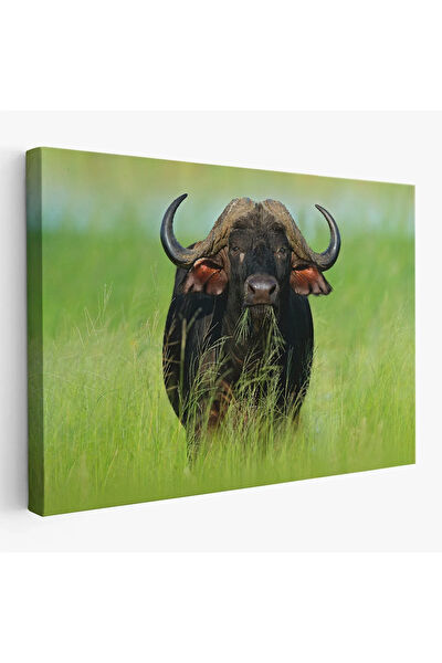 CEPAHİR Kanvas Tablo