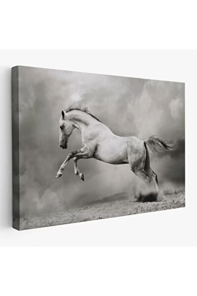 CEPAHİR Kanvas Tablo