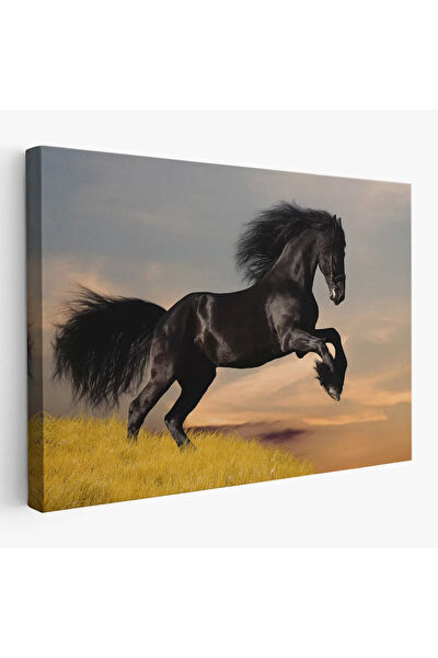 CEPAHİR Kanvas Tablo