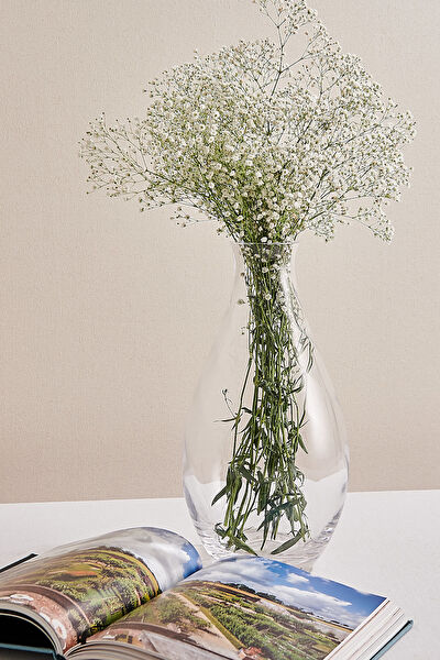 Paşabahçe Vazo, Saksı