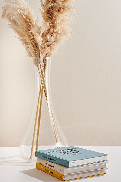 Paşabahçe Vazo, Saksı