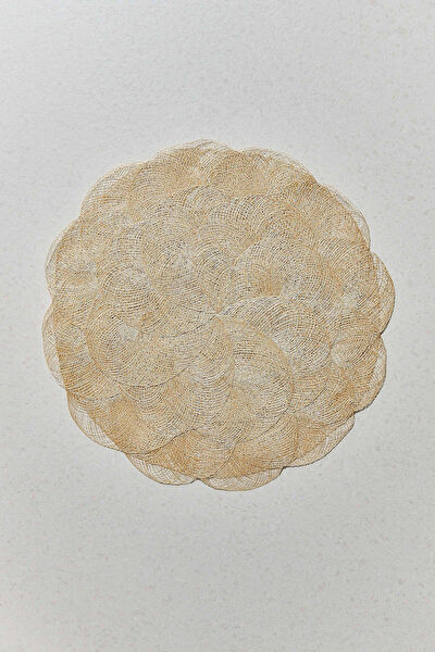 Paşabahçe Amerikan Servis Takımı