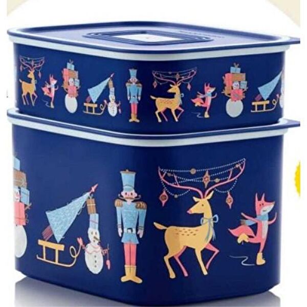 Tupperware Saklama Kabı