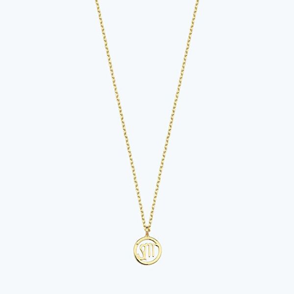 Altınbaş Altın Kolye