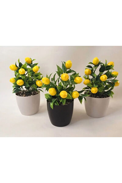 CİHAN ÇİÇEKÇİLİK Yapay Çiçek, Meyve