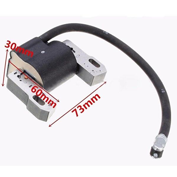 Briggs & Stratton Çim Biçme Makinesi Aksesuar, Yedek Parça