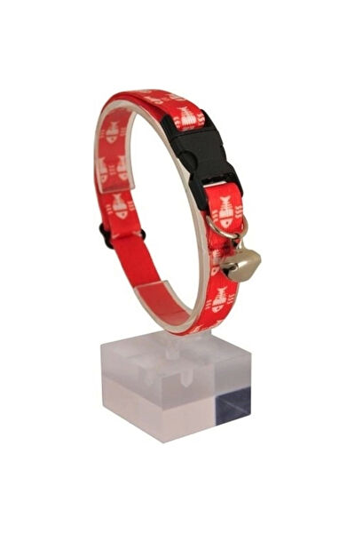 Biryirmi Kedi Tasmaları ve İsimlikler