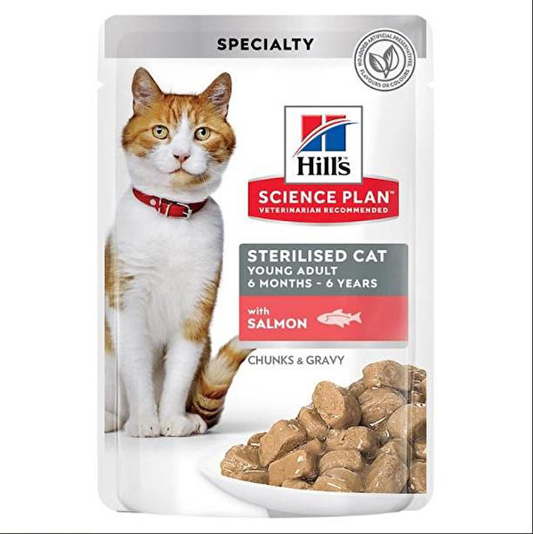 Hill's Kedi Maması