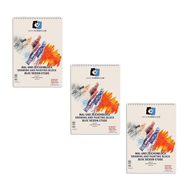 Alex Schoeller Resim Defteri, Kağıtları