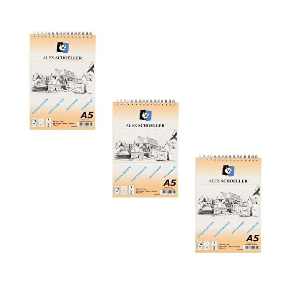 Alex Schoeller Resim Defteri, Kağıtları