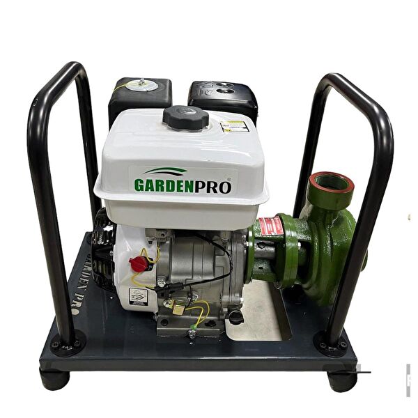 Garden Pro Hidrofor, Pompa