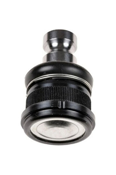 TAMDA ARADIĞIM Salıncak