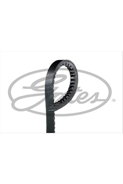 TAMDA ARADIĞIM V Kayışı