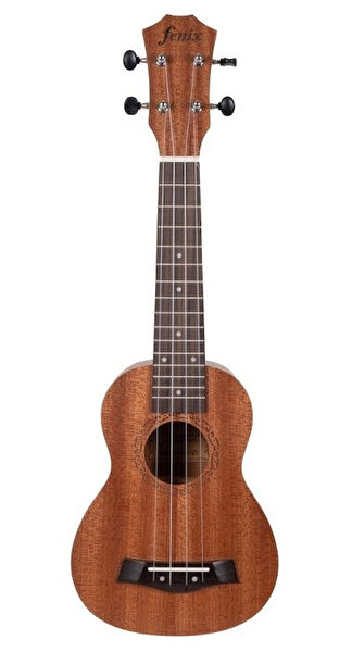 Fenix Telli Çalgı Aksesuarları