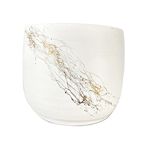 Bitki Tasarımı Vazo, Saksı