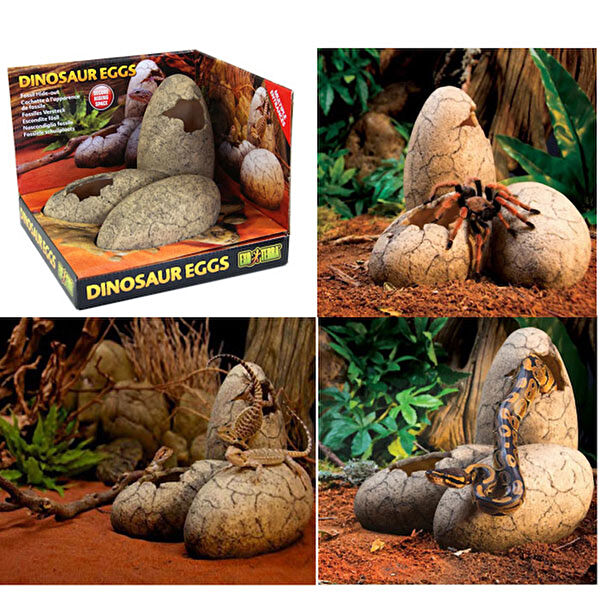 Exo Terra Terraryum Aksesuarları