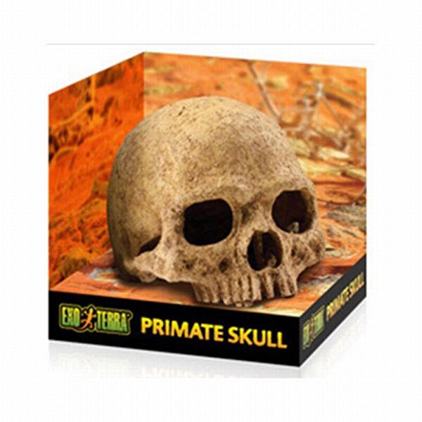 Exo Terra Sürüngen Oyuncakları