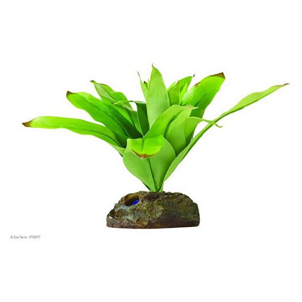 Orijin Terraryum Aksesuarları